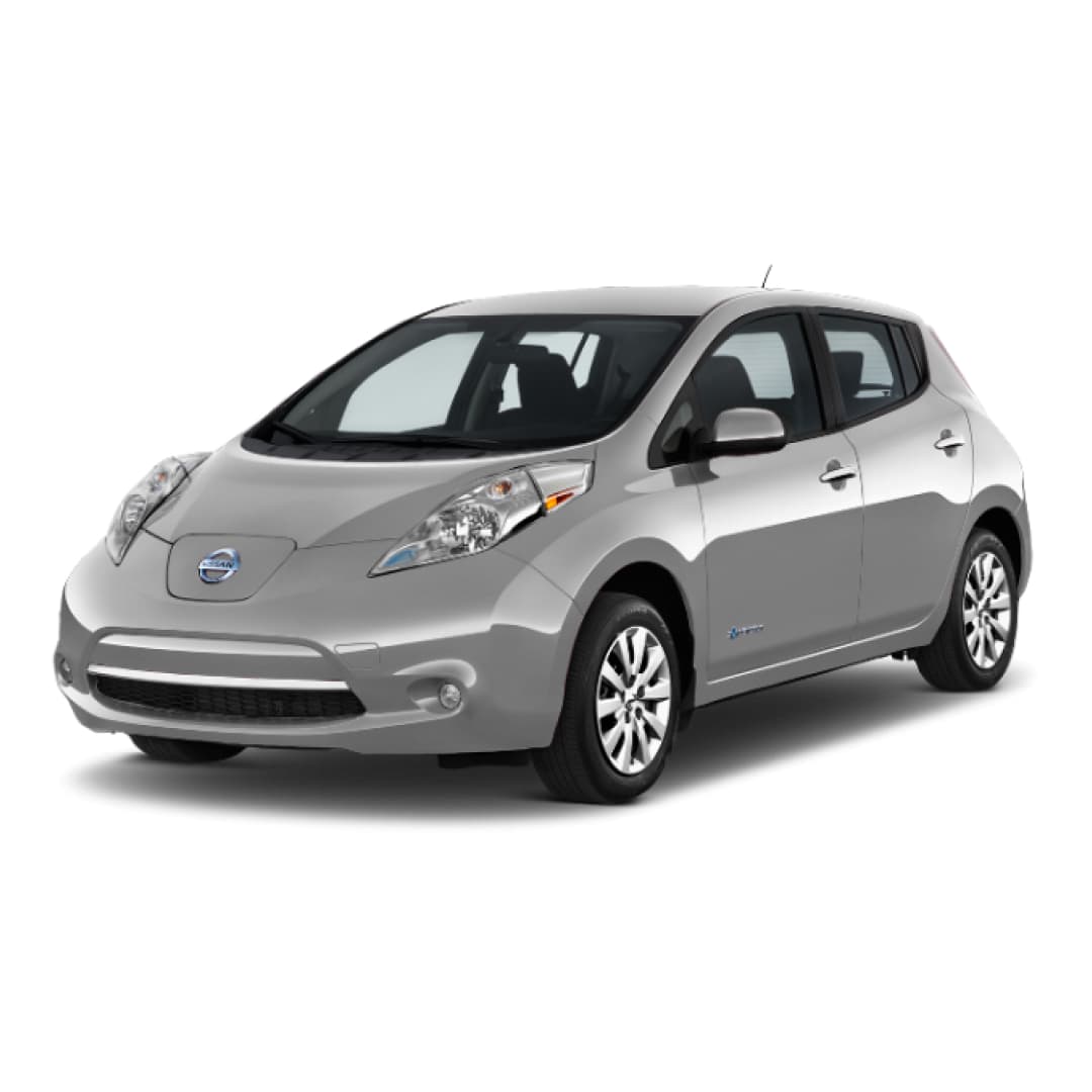 Selge Nissan Leaf